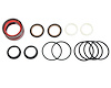 SEAL KIT HYDRO RAM DOUBLE-ENDED - image 1