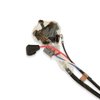 LH000GM Headlamp Harness 1968-1972 GMC C/K Series Truck, Blazer/Jimmy & Suburban - image 4