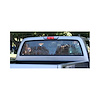 RGR87LGCLEAR Rear Window Glass, Clear, 1973-1987 Chevy/GMC C/K Series Truck - image 1