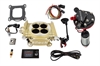Easy Street EFI 600 HP Throttle Body System Master Kit Includes: Hy-Fuel Tight-Fit In-Tank Retrofit Kit - image 1