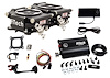 GO EFI 2X4 SYSTEM - image 1