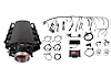 ULTIMATE LS 1000 HP EFI - image 1