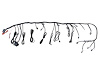 Replacement Primary Harness for Ultimate LS1, LS2, LS6 Intake Manifold Kit - image 1