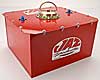 Red Pro Sport 12-Gallon Fuel Cell - image 2