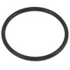 REPLACEMENT FILTER O-RING - image 1