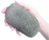 PET ROCK - image 1