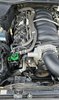 CCS-GM-108 CCS Oil Catch Can Kit for Chevy SS/PPV Caprice/Pontiac G8, LS Water Pump Mount - image 3