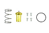 T2-RKIT Thermostatic Adapter Rebuild Kit, 160-degrees F