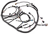 Engine Swap Wiring Harness for 1997-2004 GM 5.7L LS1 & LS6 V8 & 1999-2006 GM Vortec 4.8L-6.0L V8 w/GM T-56 Transmission - image 1