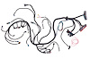 Engine Swap Wiring Harness for 1997-2004 GM 5.7L LS1 & LS6 V8, 1999-2006 GM Vortec 4.8L-6.0L V8 w/4L60E/4L80E Transmission - image 1