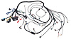 Engine Swap Wiring Harness for 2009-2014 GM Gen IV LS 5.3L Truck Engine and 4L80E Transmission [DBW] - image 1