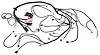 Engine Swap Wiring Harness for 2009-2014 GM Gen IV LS3 6.2L & L92 6.2L Truck Engines w/T56, TR6060 Manual Transmission [DBW] - image 1