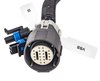 Engine Swap Wiring Harness for 2009-2014 GM Gen IV LS3 6.2L & L92 6.2L Truck Engines and 4L80E Transmission [DBW] - image 4
