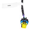 Engine Swap Wiring Harness for 2014-2024 GM Gen V LT 6.2L Engine and T56 Manual Transmission [DBW] - image 4