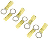 Heat Shrink Ring Terminals 10-12 AWG 3/8" Stud [7/pkg] - image 1