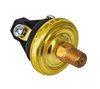 Fuel Pressure Safety Switch 1/8" NPT, 30 psi - image 3