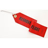 "Remove Before Flight" Tag with Lock Pin Red - image 3
