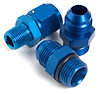 Fuel Filter Fitting Kit 2 x -10AN Port x -10AN Hose - image 1