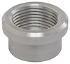 Aluminum Weld Fitting 3/4 in. NPT Female