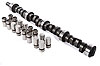 Hydraulic Flat Tappet Camshaft & Lifters 1966-Up AMC 290-401 - image 3