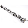 Hydraulic Roller Camshaft for 1987-2002 GM Small Block w/OEM Hydraulic Roller Cam - image 3