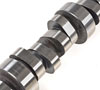 Hydraulic Roller Camshaft for 1989-1995 Ford 5.0L/5.8L - image 3