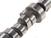 Hydraulic Roller Camshaft for 1989-1995 Ford 5.0L/5.8L - image 3