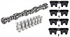 Hydraulic Roller Camshaft & Lifter Kit w/Lifter Guides for 1997-2015 GM LS GEN III/IV [289/300 Duration, 525/525 Lift, 110 LSA] - image 1