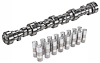 Hydraulic Roller Camshaft & Lifter Kit for 1997-2015 GM LS GEN III/IV [298/309 Duration, 612/612 Lift, 110 LSA]