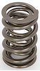 Valve Spring 1.550" - image 1
