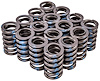 Performance Valve Springs [1.250 in. Outer Diameter]