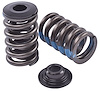 Valve Spring Kit with Damper [1.250 in. Outer Diameter]