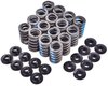 Valve Spring Kit with Damper [1.250 in. Outer Diameter] - image 2