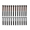 Cylinder Head Bolt Set Fits Select 1994-2003 Dodge/RAM 2500, 3500 w/8.0L V10 Engine - image 1