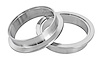 Stainless Steel V-Band Flanges 5 in.