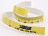 Timing Tape for Oldsmobile with 6" Balancer - image 3