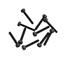 Cap Screws (M2 x 12 mm) [Fits Torch & Hooligan Monster Trucks]
