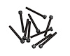 Cap Screws (M2 x 16 mm) [Fits Torch & Hooligan Monster Trucks]