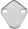 Chrome Fuel Pump Block-Off Plate - image 2