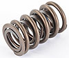 Valve Spring Outer Spring O.D.: 1.440" - image 2
