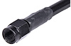 Black Coated Brake Hose [-3 AN, Straight Female to Straight Female, 15 in. Length] - image 1