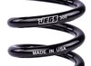 Coil-Over Spring [9 in. Length 300 lb./in. Black] - image 2