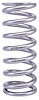 Coil-Over Spring [9 in. Length 450 lb./in. Silver] - image 1