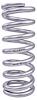 Coil-Over Spring [9 in. Length 550 lb./in. Silver] - image 1