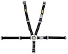 Ultra Series 5-Point Harness w/Cam Lock for Jr Dragster [Black] - image 1