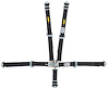 Ultra Series 5-Point Harness w/Latch & Link for Jr Dragster [Black] - image 1