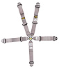 Cam Lock Ultra Series Harness 5-Point Design [Pull Down Lap Adjusters, Gray] - image 1
