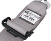 Cam Lock Ultra Series Harness 5-Point Design [Pull Down Lap Adjusters, Gray] - image 3