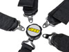 Black Cam Lock Ultra Series Harness 5-Point Design Pull Up U-Type [Wrap-Around or Bolt-In Installation] - image 3