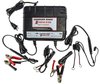 Smart Trickle Charger & Battery Maintainer 2-Bank, 4 Amp - image 2